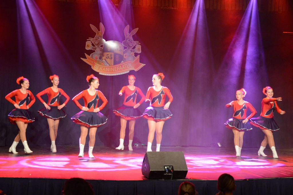 ../Images/Dansmarieke festival 2015 240.jpg